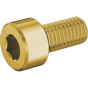 Brass Socket Head Screw M5 x 0.80 mm Thread size, 10 mm Long图3